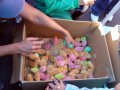 Colorful Christmas Chicks